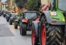 Giornata del Ringraziamento 2025