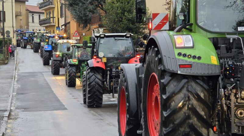 Giornata del Ringraziamento 2025