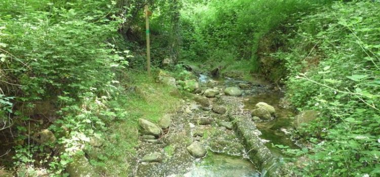 Sentierando in Brianza 2010: L’acquedotto di Mellerio –  Natura e cultura nella Valle del Pegorino