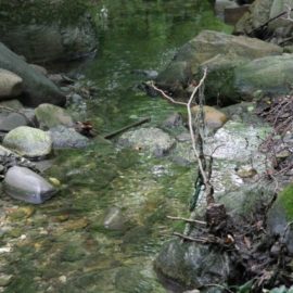 Sentierando in Brianza 2011: Alla ricerca delle sorgenti della Nava