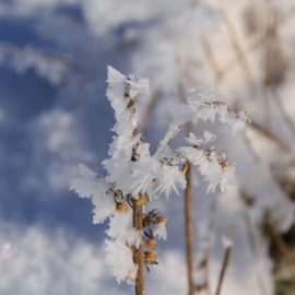 Il giorno dopo una bella nevicata a Galgiana, Verdura e Modromeno