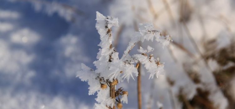 Il giorno dopo una bella nevicata a Galgiana, Verdura e Modromeno