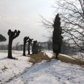 Una mattina nel Landriano