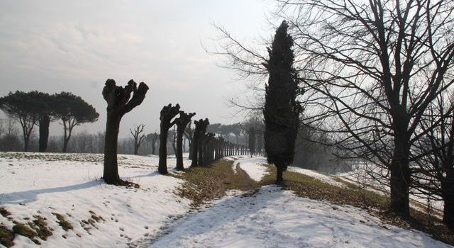 Una mattina nel Landriano