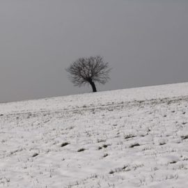 Una mattina nella valle del Rio Molgorana