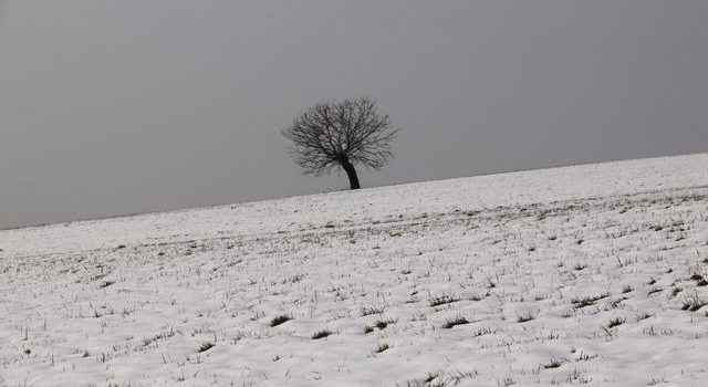 Una mattina nella valle del Rio Molgorana