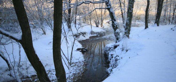 Dopo una bella nevicata