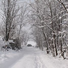 Nevicata su Casatenovo