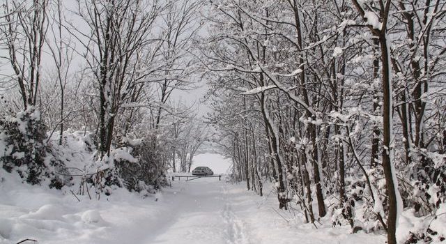 Nevicata su Casatenovo