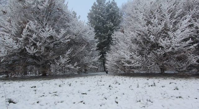 Nevicata su Casatenovo