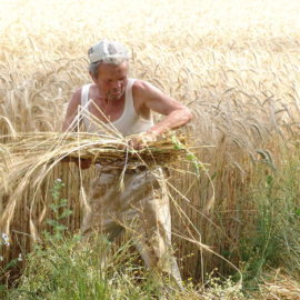 Un ricordo di Pasquale Pirotta