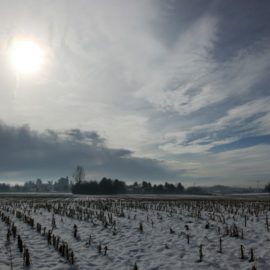 In ricognizione nel settore arancio