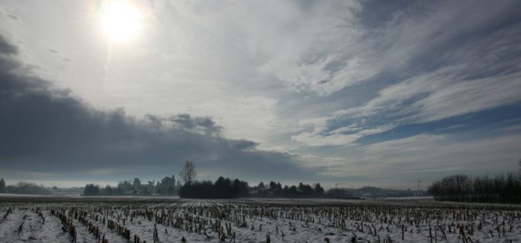 In ricognizione nel settore arancio