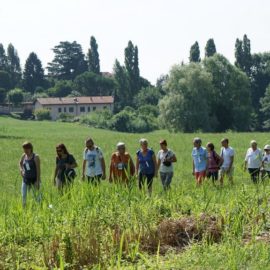 Sentierando in Brianza 2018: La Valle della Nava tra monasteri e borghi