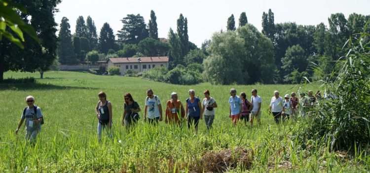 Sentierando in Brianza 2018: La Valle della Nava tra monasteri e borghi