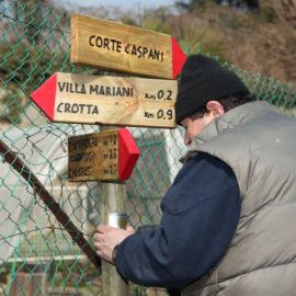 Posa del settore bianco