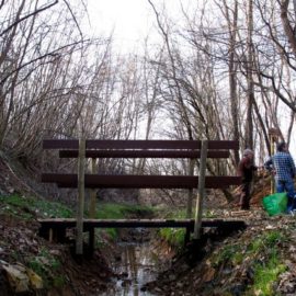 Un ponticello sul Molgora