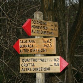 Apprezzamenti al nostro lavoro
