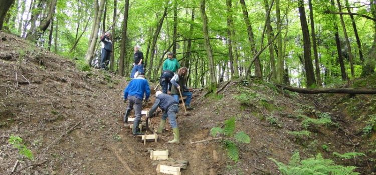 La scaletta nella Valle del Pegorino