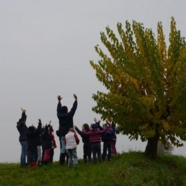 I colori del bosco – Cascina Bracchi