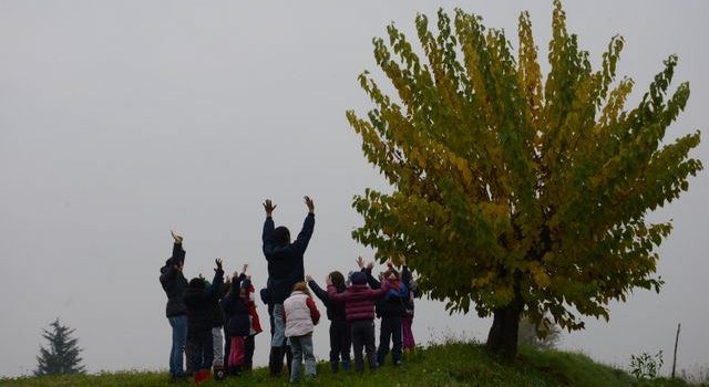 I colori del bosco – Cascina Bracchi