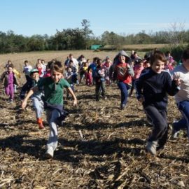 Uscita autunnale pomeridiane con la Scuola Primaria di Casatenovo