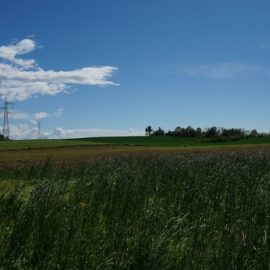 Giornata Ecologica – XVIII edizione