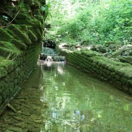 Un’escursione da Brugora a Rancate con le GEV del Parco del Lambro ed il Brig