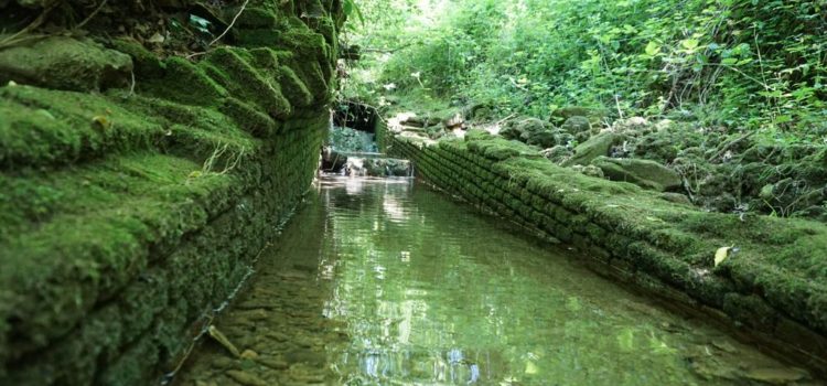 Un’escursione da Brugora a Rancate con le GEV del Parco del Lambro ed il Brig