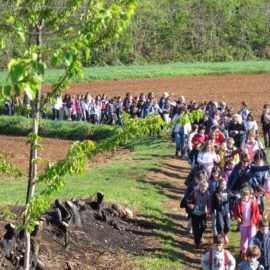 Uscita collettiva delle scuole di Cascina Grassi