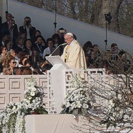 Da Casatenovo al Parco di Monza per la visita del Papa