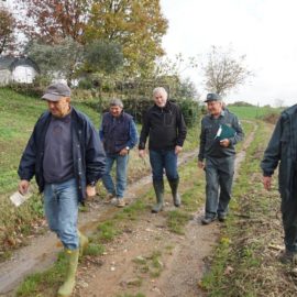 Sopralluogo a Rancate con le GEV del Parco del Lambro