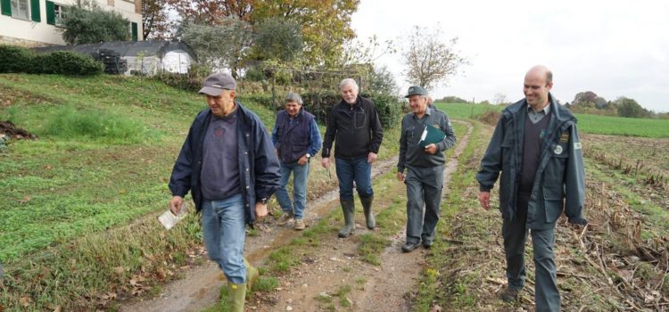 Sopralluogo a Rancate con le GEV del Parco del Lambro