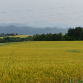 Sentierando in Brianza 2019: Alla scoperta dei tesori dei Colli Briantei