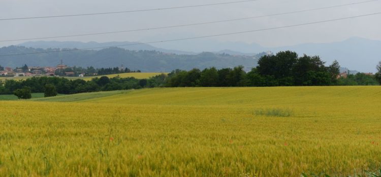 Sentierando in Brianza 2019: Alla scoperta dei tesori dei Colli Briantei