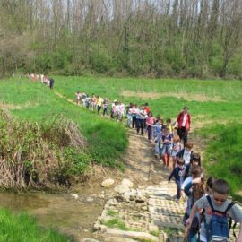 Alla scoperta della primavera – Casatenovo