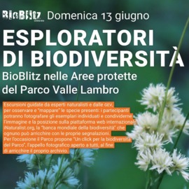 BIO-BLITZ 2021