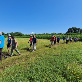 Gusta Casatenovo 2021 (Da Rogoredo a Cascina Melli)