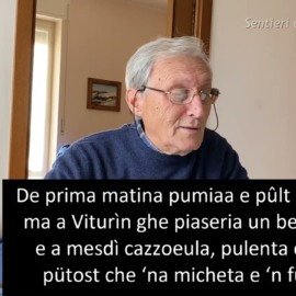 Neef a patèj