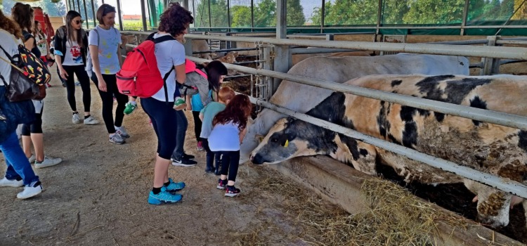 Metti una mattina in fattoria… Con l’Asilo Nido di Cascina Levada