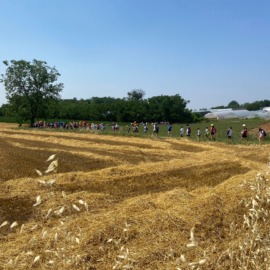 Gli oratori casatesi in tour: in 400 per campi e boschi!