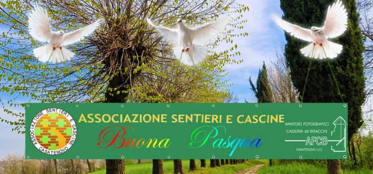 Auguri!