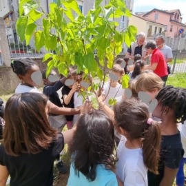 Un gelso per la Scuola Primaria di Casatenovo Capoluogo