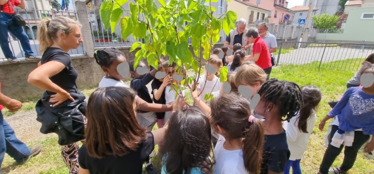 Un gelso per la Scuola Primaria di Casatenovo Capoluogo