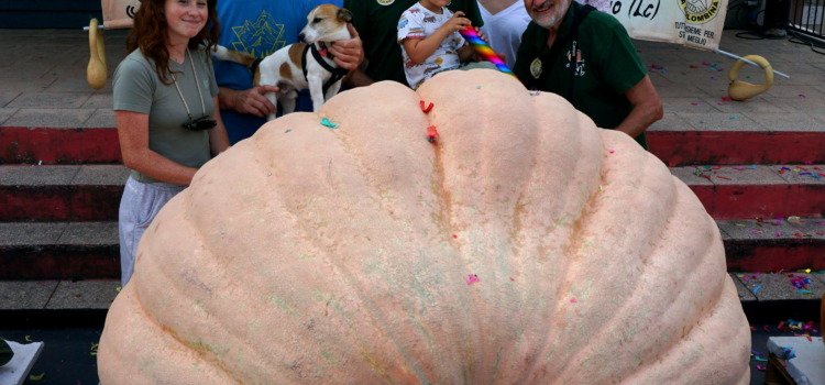 Una zucca “mondiale” alla Colombina di Casatenovo