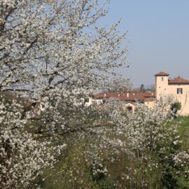 Successo per la XXII edizione della Giornata Ecologica