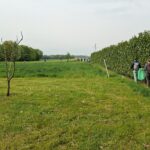 ECO26_02-08