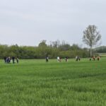 ECO26_02-34
