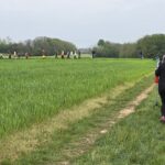 ECO26_02-35